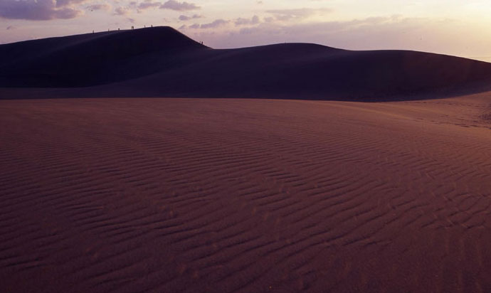 The Tottori Sand Dunes are the largest sand dunes in Japan, with many unique terrains.
