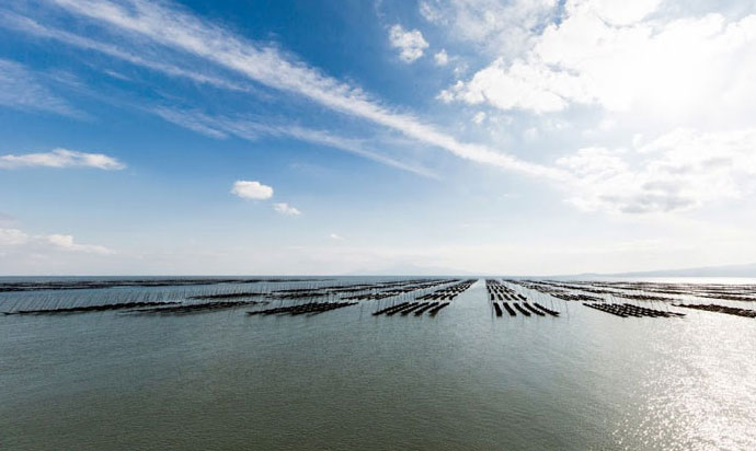 Higashiyoka-higata is part of the Ariake Sea tidal flat. It is famous for the waterfowl destination.