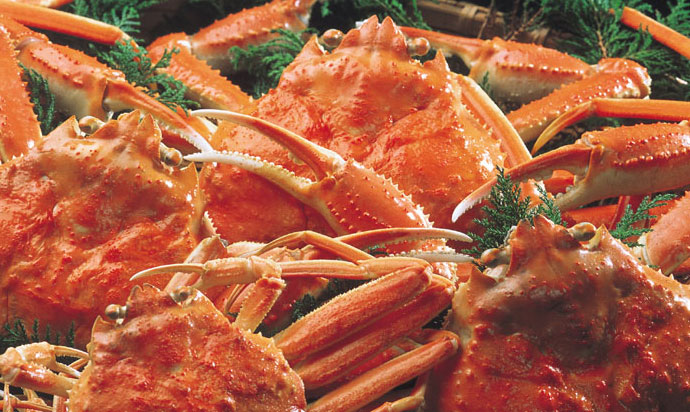 ≪蟹料理≫≪Ishikawa's specialty crab dish≫