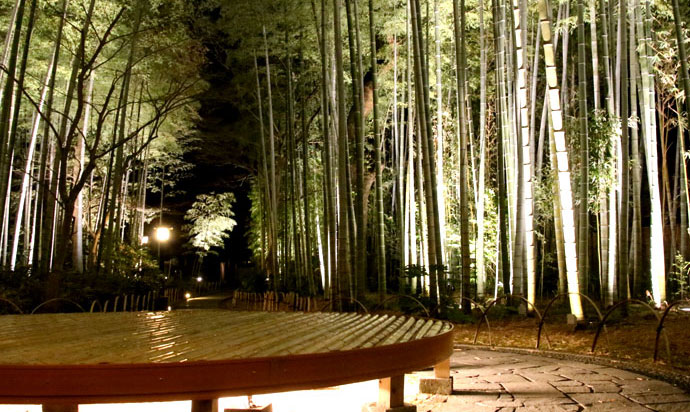 竹林の小径 Small diameter of bamboo grove in IZU_SHUZENJI